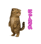 キモブサカワ7(スコ)（個別スタンプ：17）