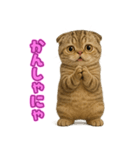 キモブサカワ7(スコ)（個別スタンプ：29）