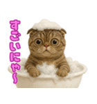 キモブサカワ7(スコ)（個別スタンプ：31）