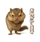 キモブサカワ8(シマリス)（個別スタンプ：1）