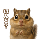 キモブサカワ8(シマリス)（個別スタンプ：2）