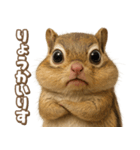 キモブサカワ8(シマリス)（個別スタンプ：3）