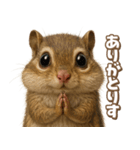 キモブサカワ8(シマリス)（個別スタンプ：6）