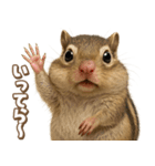 キモブサカワ8(シマリス)（個別スタンプ：7）