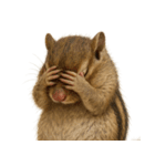 キモブサカワ8(シマリス)（個別スタンプ：15）