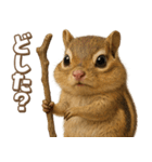 キモブサカワ8(シマリス)（個別スタンプ：16）
