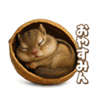 キモブサカワ8(シマリス)（個別スタンプ：27）