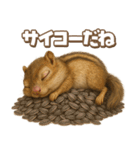 キモブサカワ8(シマリス)（個別スタンプ：29）