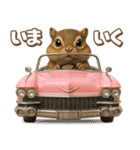 キモブサカワ8(シマリス)（個別スタンプ：35）