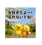 ふわふわひよこ(3月)40個セット（個別スタンプ：14）