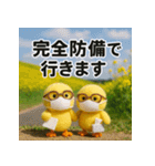 ふわふわひよこ(3月)40個セット（個別スタンプ：20）