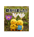 ふわふわひよこ(3月)40個セット（個別スタンプ：31）
