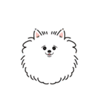 ボス犬と私の日常（個別スタンプ：13）