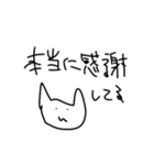 目にものを見せる猫スタンプ（個別スタンプ：16）