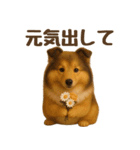気遣いとやさしさ届けるもちもちシェルティ（個別スタンプ：6）