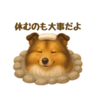 気遣いとやさしさ届けるもちもちシェルティ（個別スタンプ：9）