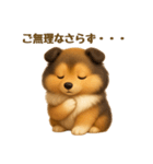 気遣いとやさしさ届けるもちもちシェルティ（個別スタンプ：13）