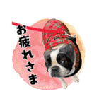 ボステリのおにぎり（個別スタンプ：9）