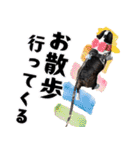 ボステリのおにぎり（個別スタンプ：17）