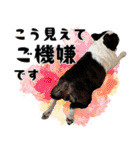 ボステリのおにぎり（個別スタンプ：27）