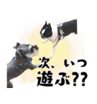 ボステリのおにぎり（個別スタンプ：32）