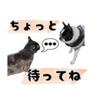 ボステリのおにぎり（個別スタンプ：33）