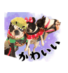 ボステリのおにぎり（個別スタンプ：37）