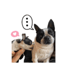 ボステリのおにぎり（個別スタンプ：39）