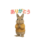 動物でありがとう（個別スタンプ：15）