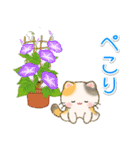 夏のちびころにゃん（個別スタンプ：12）