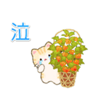 夏のちびころにゃん（個別スタンプ：30）