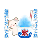 夏のちびころにゃん（個別スタンプ：35）