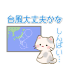 夏のちびころにゃん（個別スタンプ：36）