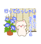 夏のちびころにゃん（個別スタンプ：37）