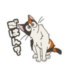 我が家のポンコツ。（個別スタンプ：7）