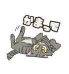 我が家のポンコツ。（個別スタンプ：12）