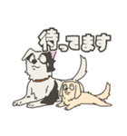 我が家のポンコツ。（個別スタンプ：16）