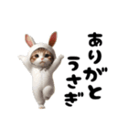 踊る！着ぐるみのネコたちにゃんだふる～（個別スタンプ：6）