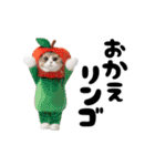 踊る！着ぐるみのネコたちにゃんだふる～（個別スタンプ：11）