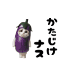 踊る！着ぐるみのネコたちにゃんだふる～（個別スタンプ：20）