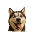 犬の変顔（個別スタンプ：4）