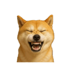 犬の変顔（個別スタンプ：6）