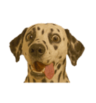 犬の変顔（個別スタンプ：27）