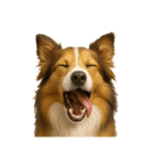 犬の変顔（個別スタンプ：29）