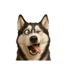 犬の変顔（個別スタンプ：32）