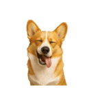 犬の変顔（個別スタンプ：39）