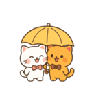 モチ×マルー ハグして甘えてちゅー♡（個別スタンプ：27）