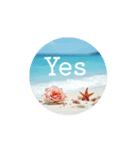 英語.海と花.Summer sea and flowers（個別スタンプ：5）