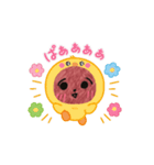 たぬぐま（個別スタンプ：3）