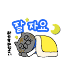 にゃんずのスタンプ2（ハングル）（個別スタンプ：6）